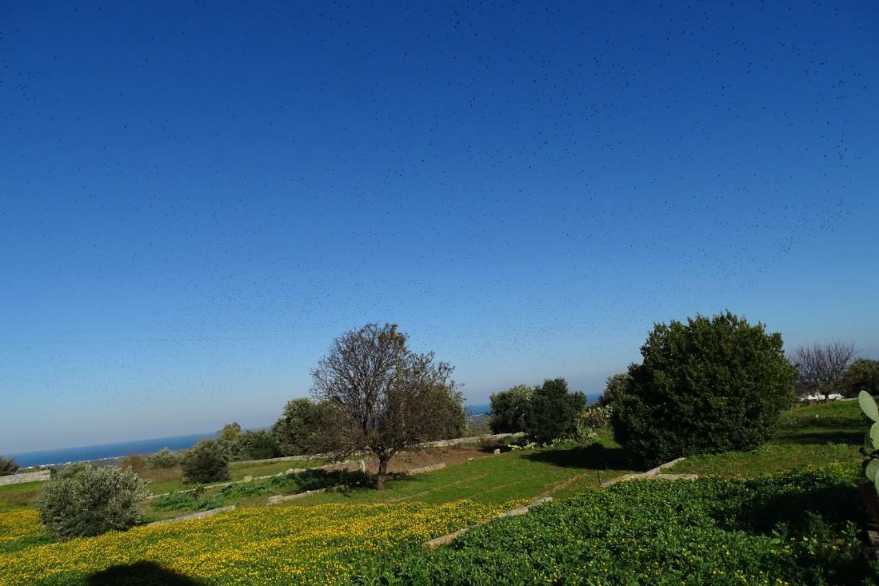 Il Fico D'India Dell'Antico Orto Villa ออสตูนี ภายนอก รูปภาพ
