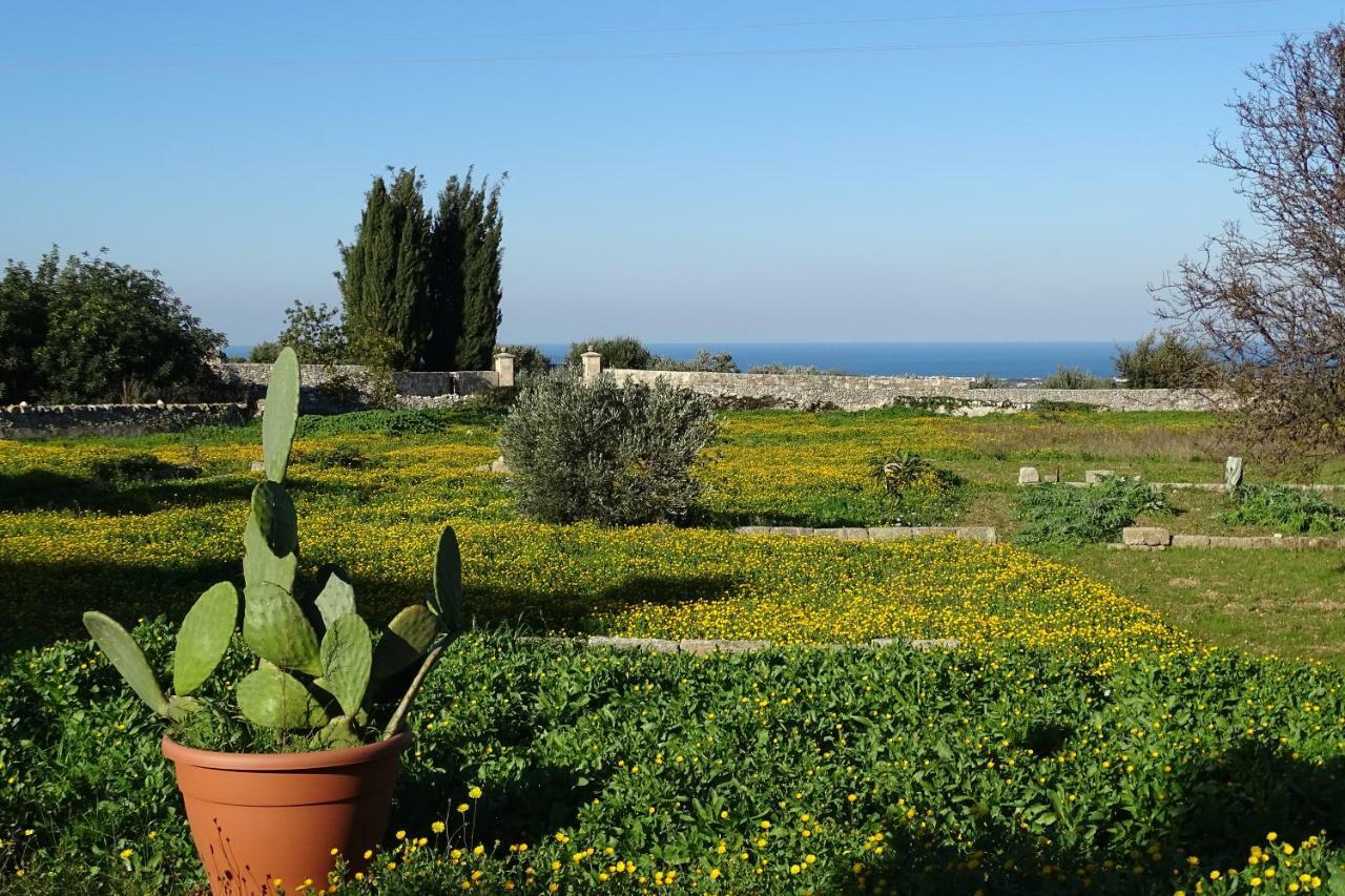 Il Fico D'India Dell'Antico Orto Villa ออสตูนี ภายนอก รูปภาพ