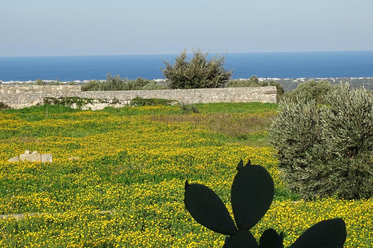 Il Fico D'India Dell'Antico Orto Villa ออสตูนี ภายนอก รูปภาพ