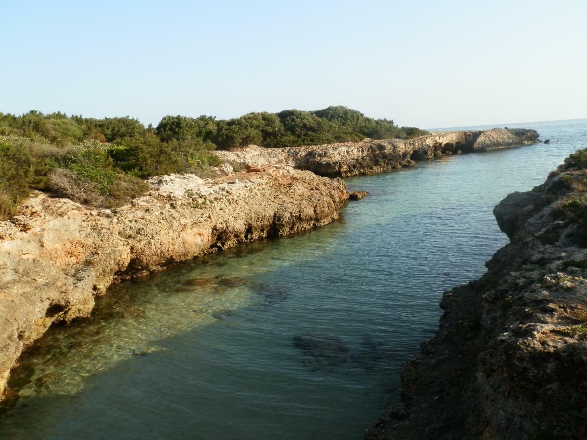 Il Fico D'India Dell'Antico Orto Villa ออสตูนี ภายนอก รูปภาพ